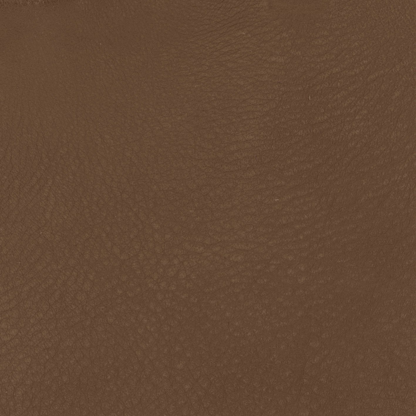 tyokorin様♡杢ブラウン Zahir 11 | Fabrics & Leather | Tacchini